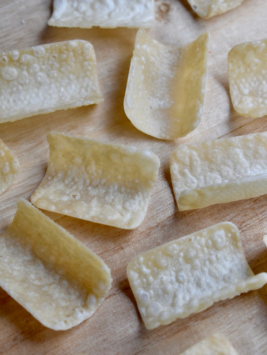 White Wonton Square Shells 100/pkg